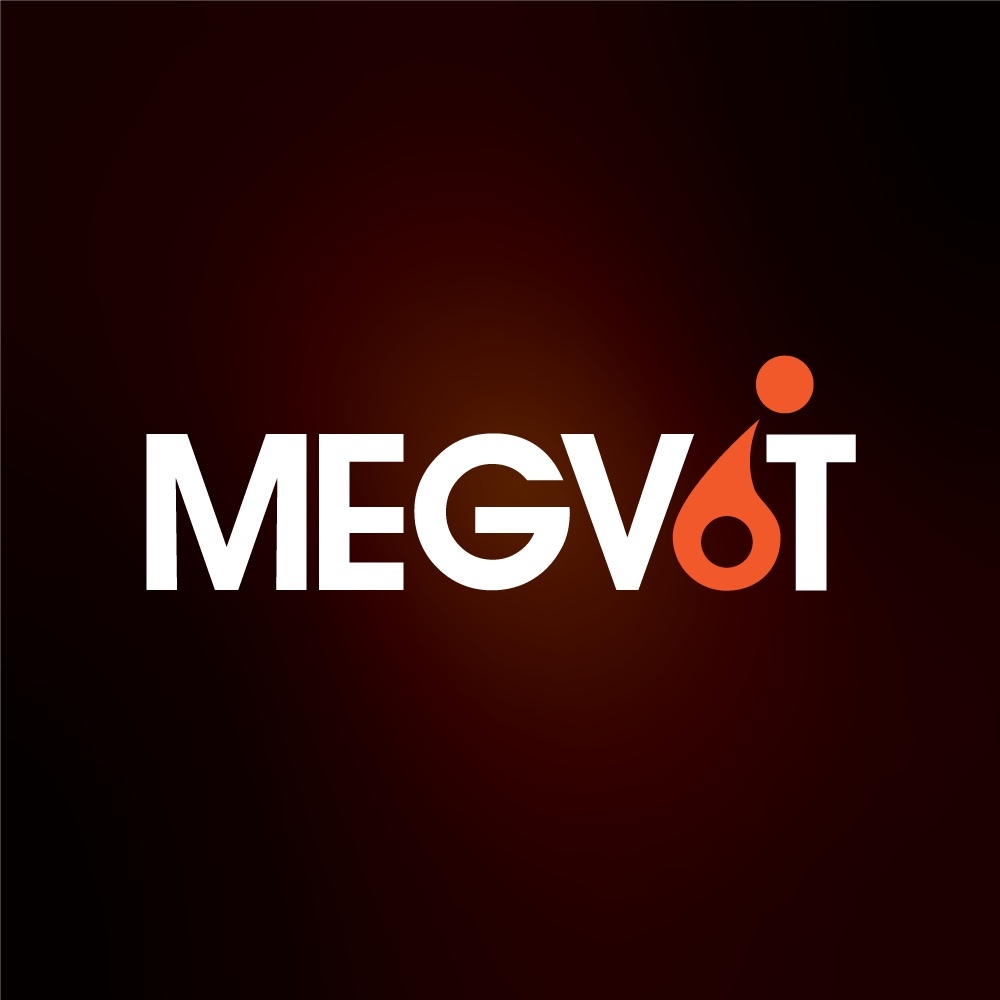 Megvit, химчистка салона, полировка, автомойка, химчистка, пленка, брони пленка, шиномонтаж, реставрация, ПДР, вытянуть вмятину, исправления без покраски,керамика, жидкое стекло, антидождь, кварцевое покрытие, уборка салона, защита зон риска на авто, детейлинг, полировка фар, тонировка, винильная пленка, ремонт сидений